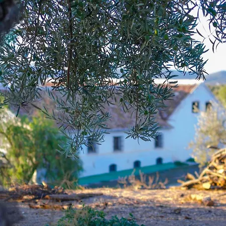 Cortijo Alzamigaja *