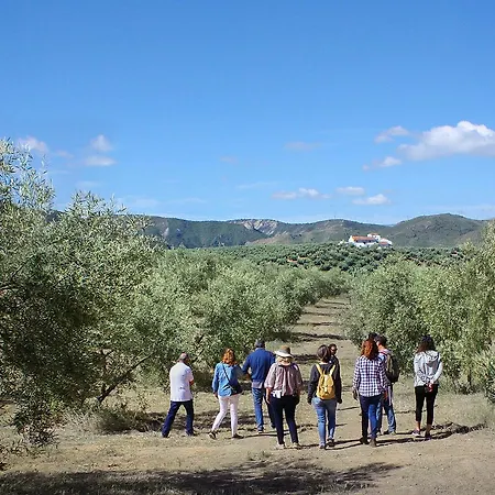 Cortijo Alzamigaja Holiday home Archidona